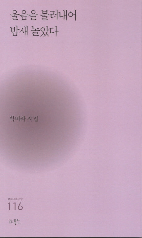 울음을 불러내어 밤새 놀았다(현대시세계 시인선 116)