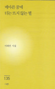 메마른 꿈에 더는 뜨지 않는 별(현대시세계 시인선 135)