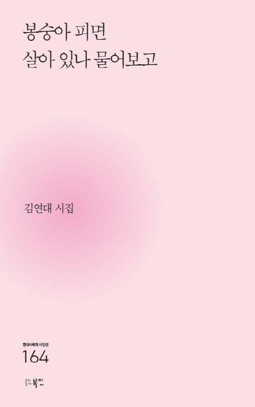 봉숭아 피면 살아 있나 물어보고(현대시세계 시인선 164)