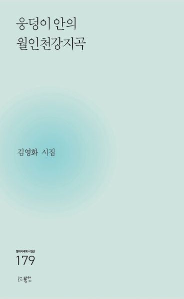 웅덩이 안의 월인천강지곡(현대시세계 시인선 179)