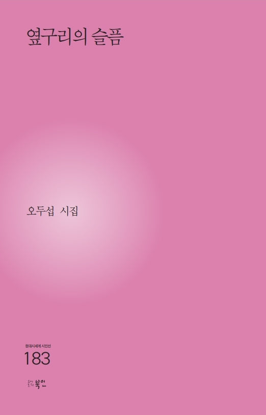 옆구리의 슬픔(현대시세계 시인선 183)