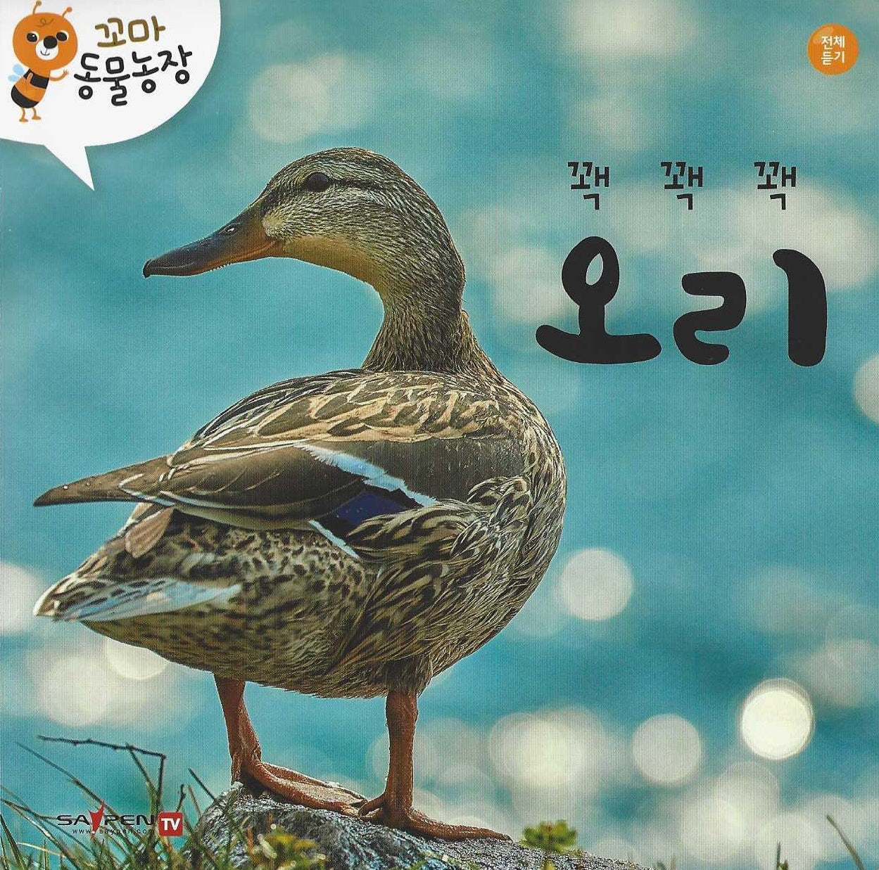 꽥꽥꽥 오리(꼬마 동물농장)