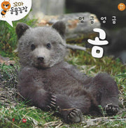 엉금엉금 곰(꼬마 동물농장)