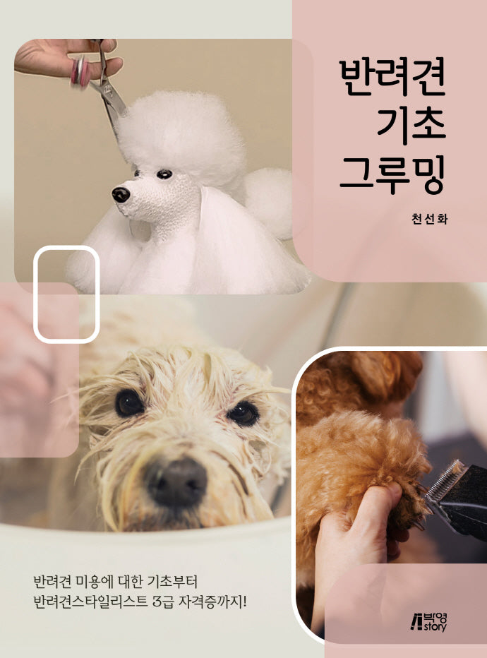 반려견 기초 그루밍