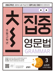 초집중 초등 고학년 집중 영문법 3: 심화편