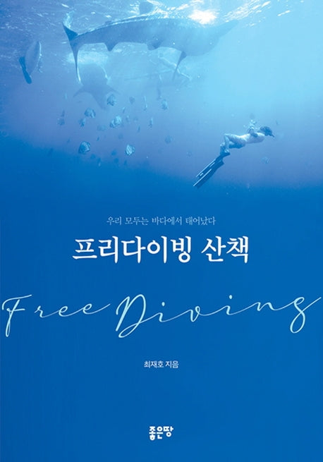 프리다이빙 산책