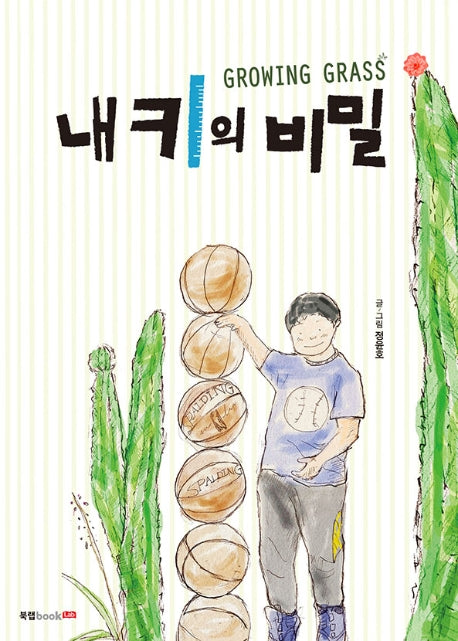 내 키의 비밀