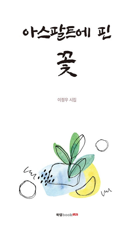 아스팔트에 핀 꽃