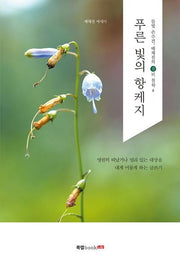 푸른 빛의 항케지(배채진의 길뫼 철학 4)