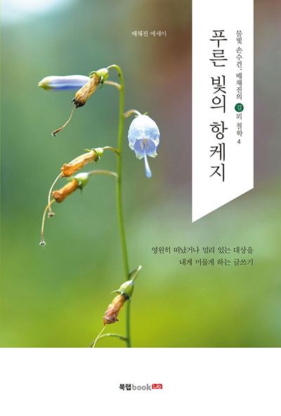 푸른 빛의 항케지(배채진의 길뫼 철학 4)