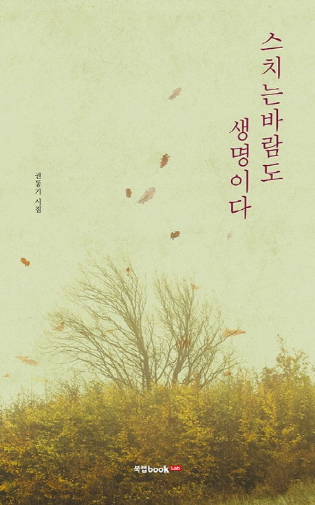 스치는 바람도 생명이다
