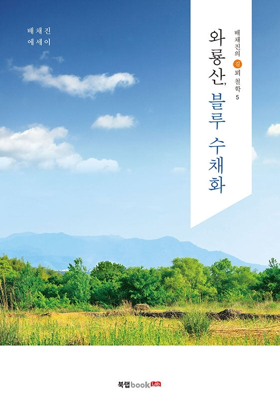 와룡산, 블루 수채화(배채진의 길뫼 철학 5)