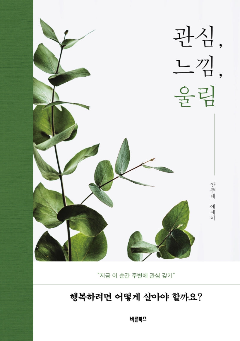 관심, 느낌, 울림