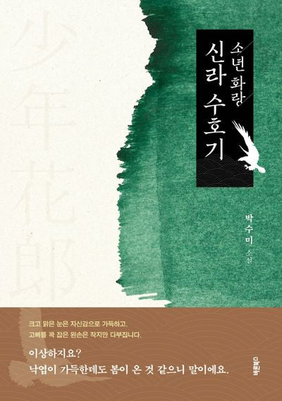 소년 화랑 신라 수호기