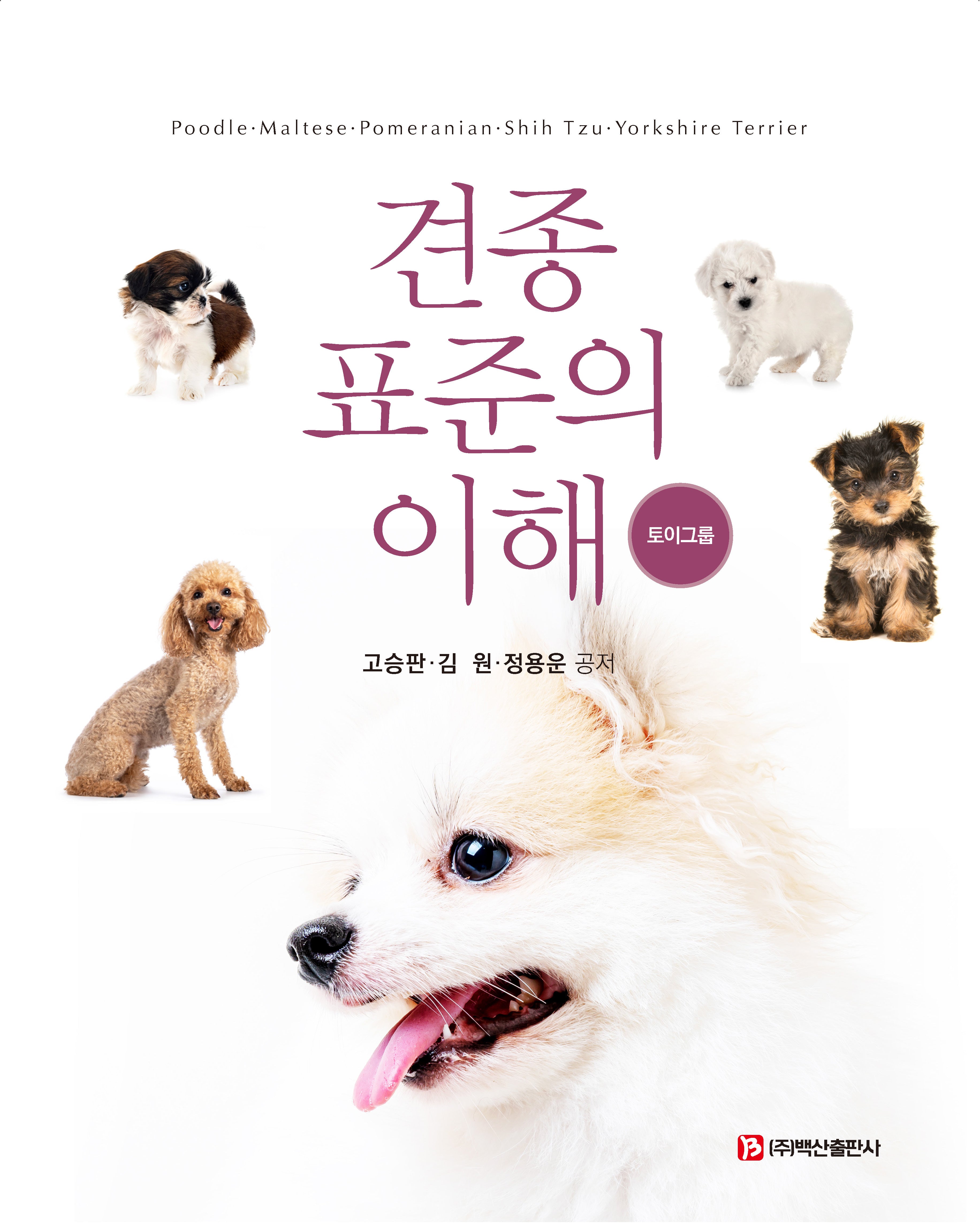 견종 표준의 이해: 토이그룹