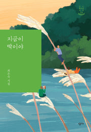 지금이 딱이야(창비 청소년 시선 34)