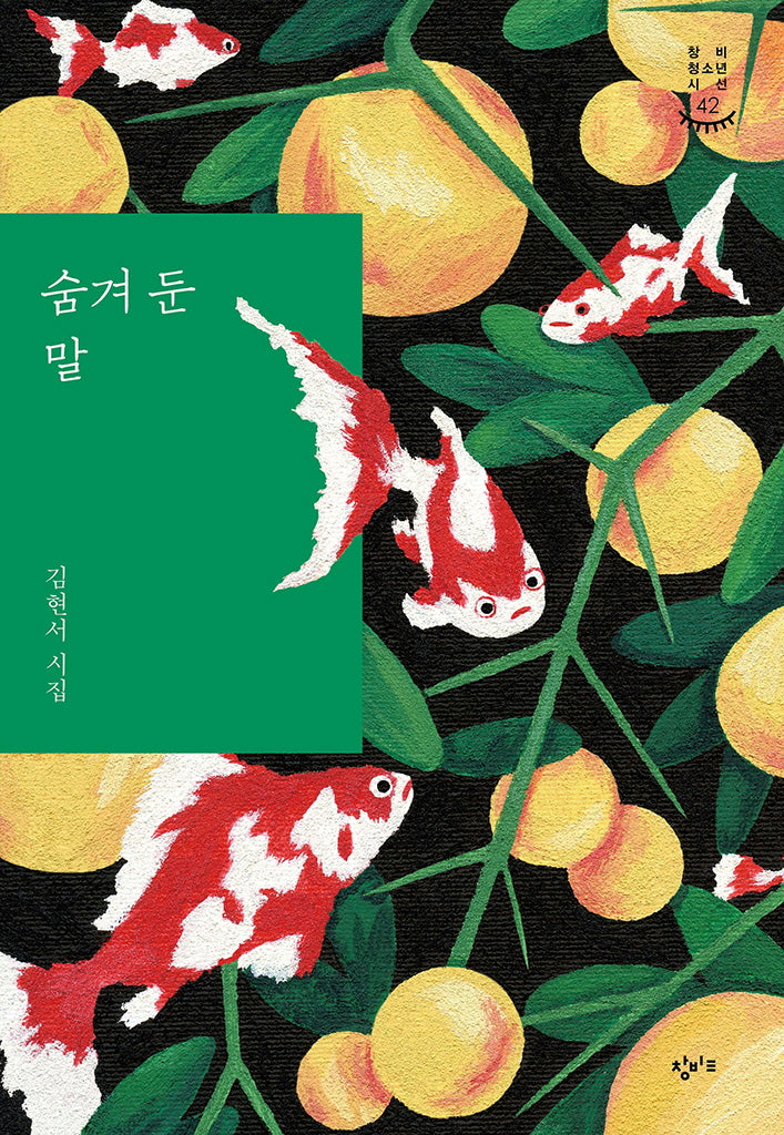 숨겨 둔 말(창비청소년시선 42)
