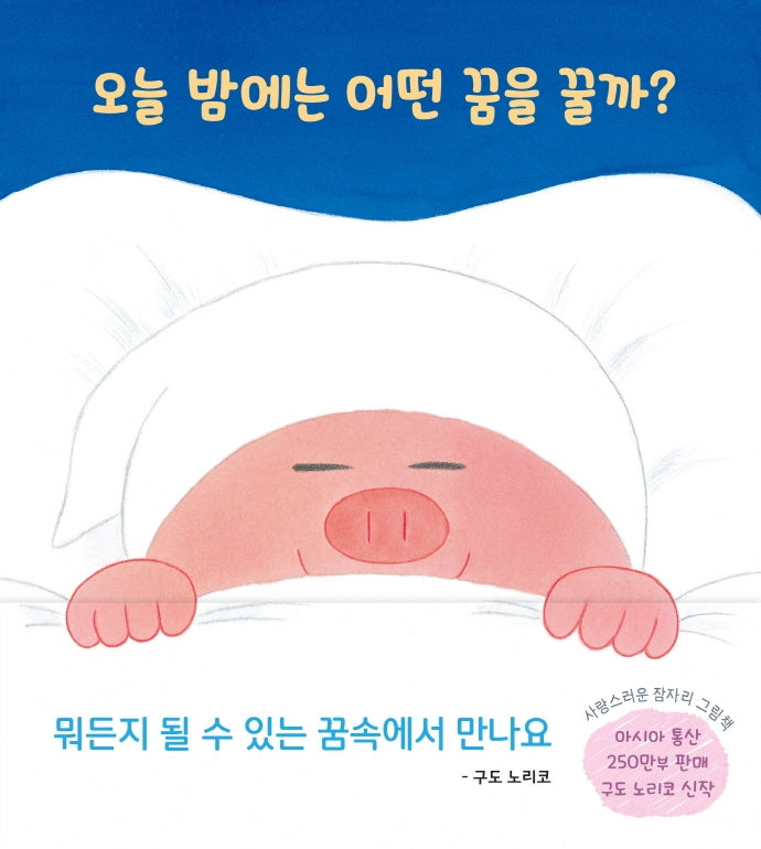 오늘 밤에는 어떤 꿈을 꿀까?(바람그림책 116)