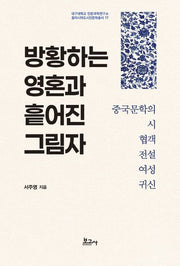 방황하는 영혼과 흩어진 그림자(대구대학교 인문과학연구소 동아시아도시인문학총서 17)