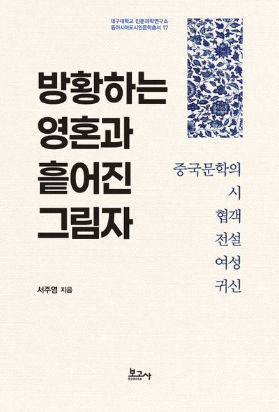방황하는 영혼과 흩어진 그림자(대구대학교 인문과학연구소 동아시아도시인문학총서 17)