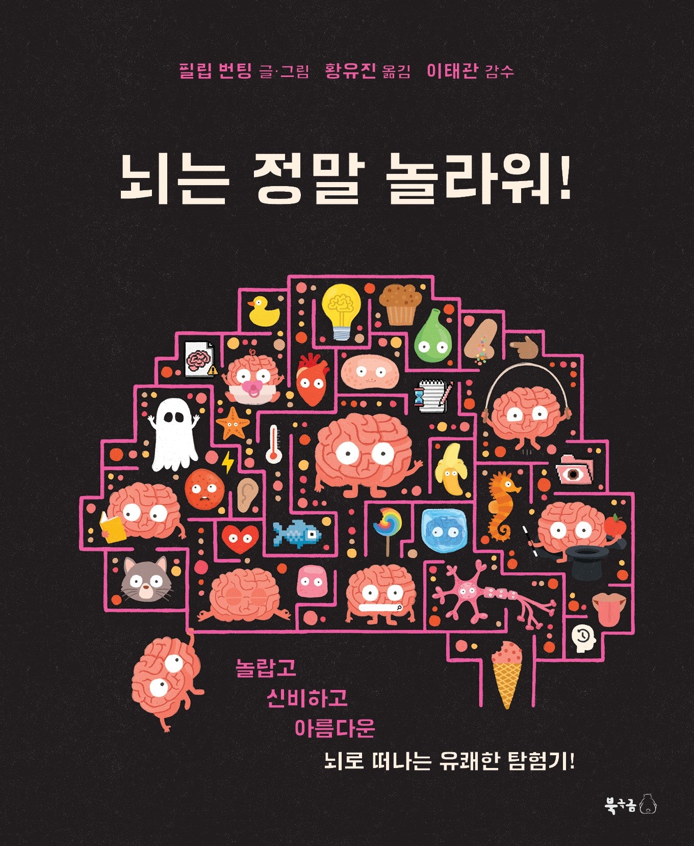 뇌는 정말 놀라워!(북극곰 궁금해 시리즈 29)(양장본 Hardcover)