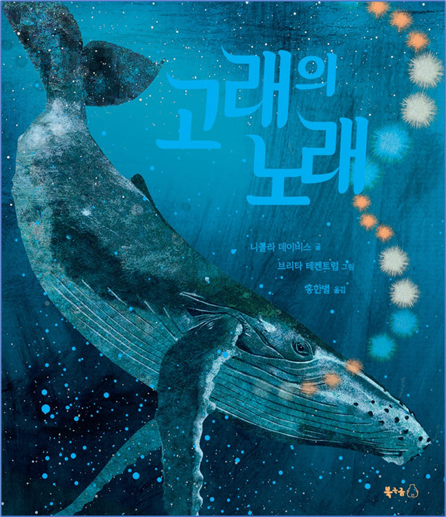 고래의 노래(북극곰 무지개 그림책 111)(양장본 Hardcover)
