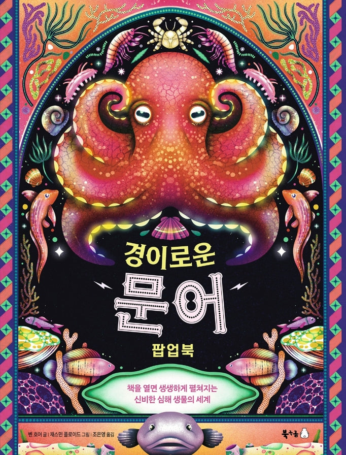 경이로운 문어 팝업북