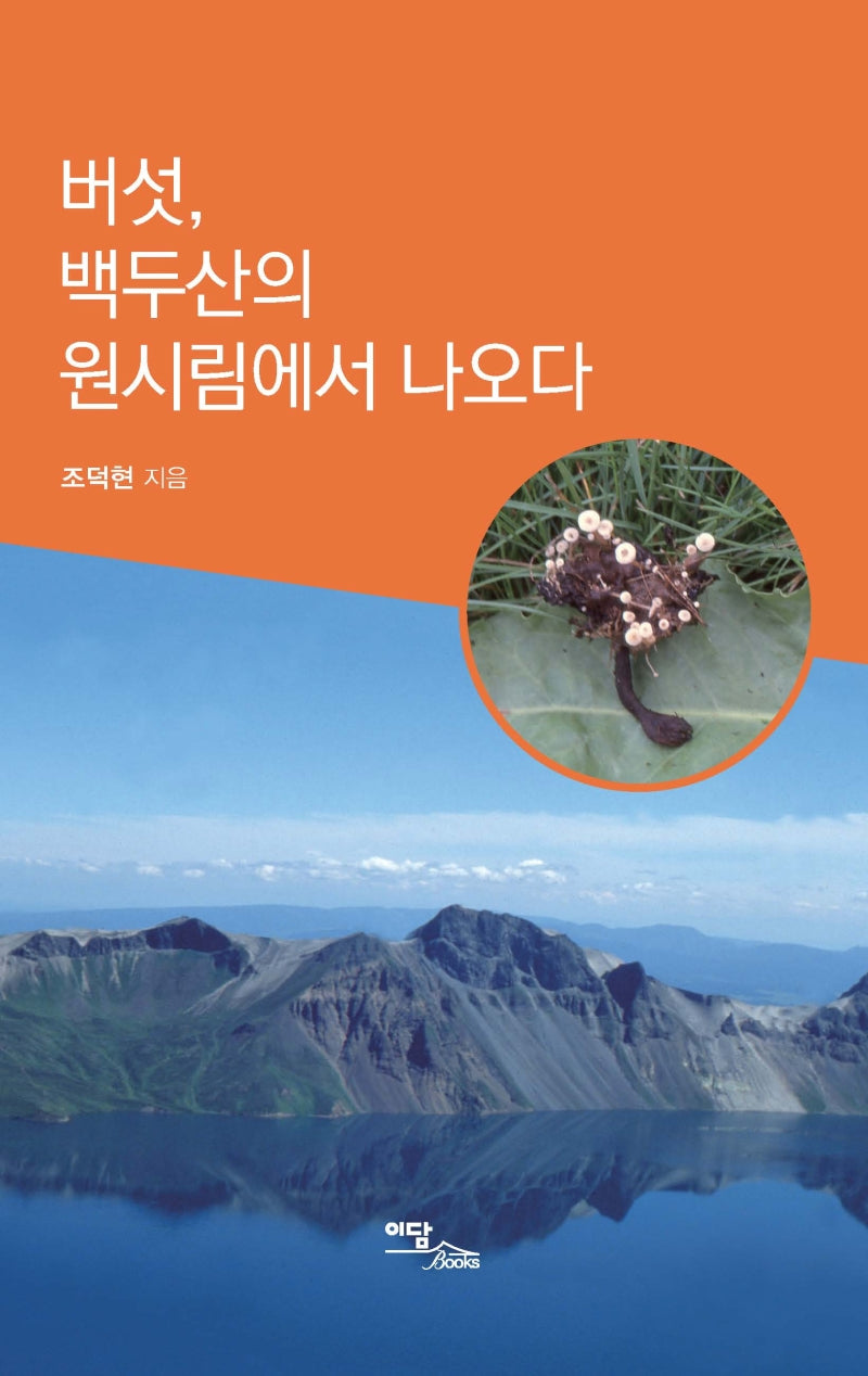버섯, 백두산의 원시림에서 나오다