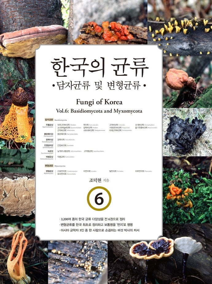 한국의 균류 6: 담자균류 및 변형균류(양장본 HardCover)