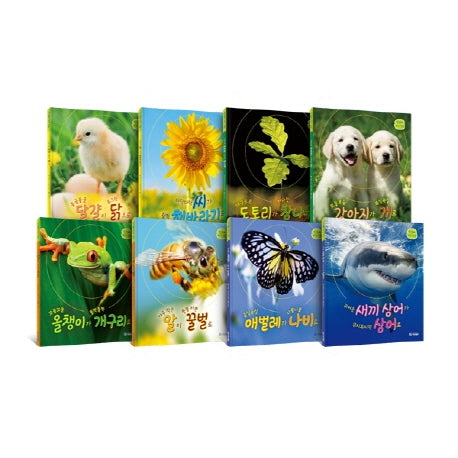 한살이 자연 관찰 세트(전8권)