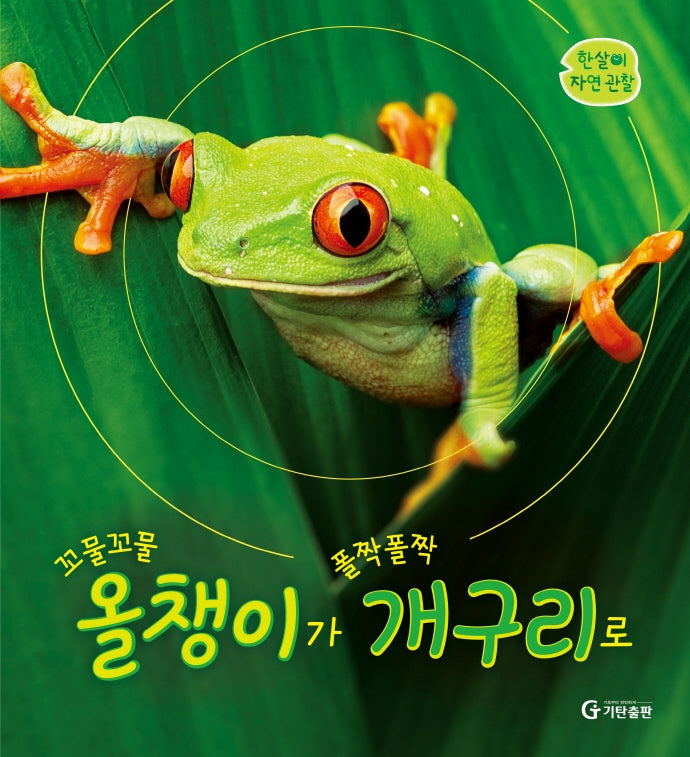 꼬물꼬물 올챙이가 폴짝폴짝 개구리로(한살이 자연 관찰)(양장본 Hardcover)