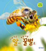 아주 작은 알이 붕붕 바쁜 꿀벌로(한살이 자연 관찰)(양장본 Hardcover)