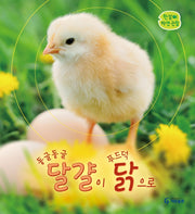 동글동글 달걀이 푸드덕 닭으로(한살이 자연 관찰<)(양장본 Hardcover)