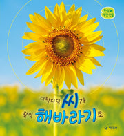 다닥다닥 씨가 활짝 해바라기로(한살이 자연 관찰)(양장본 Hardcover)