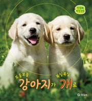 보들보들 강아지가 북실북실 개로(한살이 자연 관찰)(양장본 HardCover)