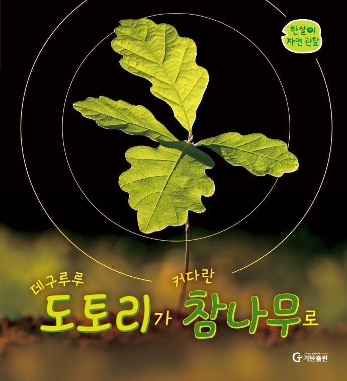 데구루루 도토리가 커다란 참나무로(한살이 자연 관찰)(양장본 Hardcover)