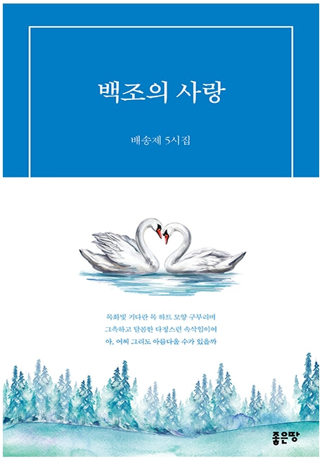 백조의 사랑