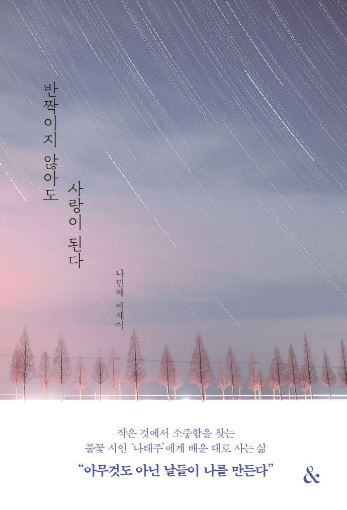 반짝이지 않아도 사랑이 된다