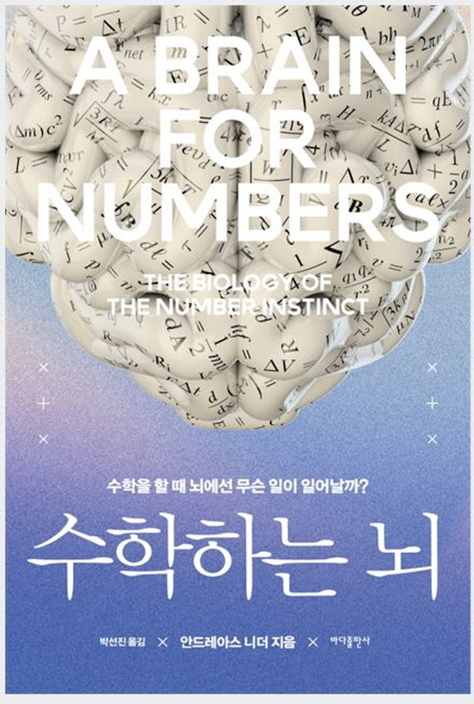 수학하는 뇌