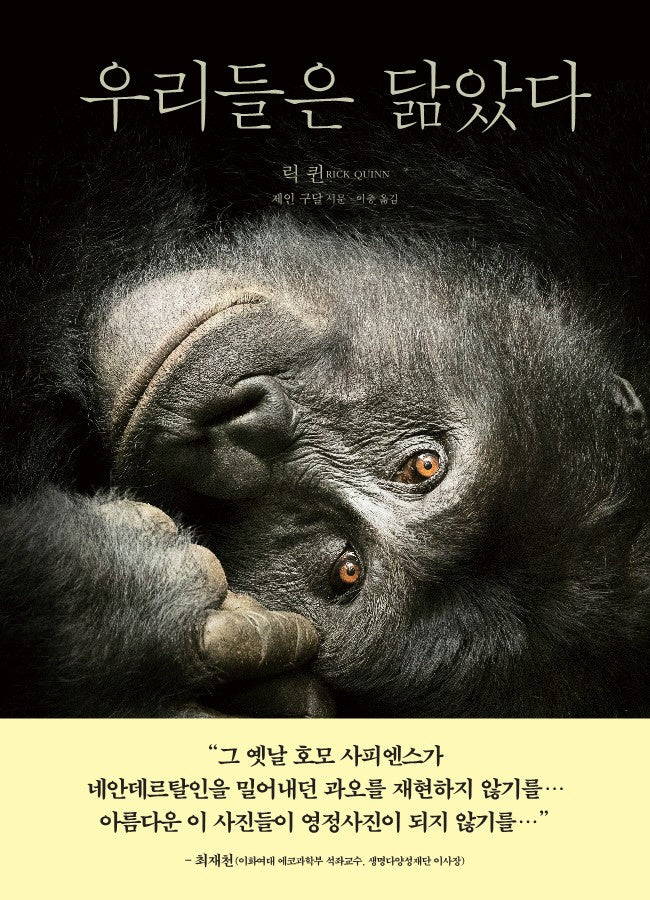 우리들은 닮았다(양장본 Hardcover)