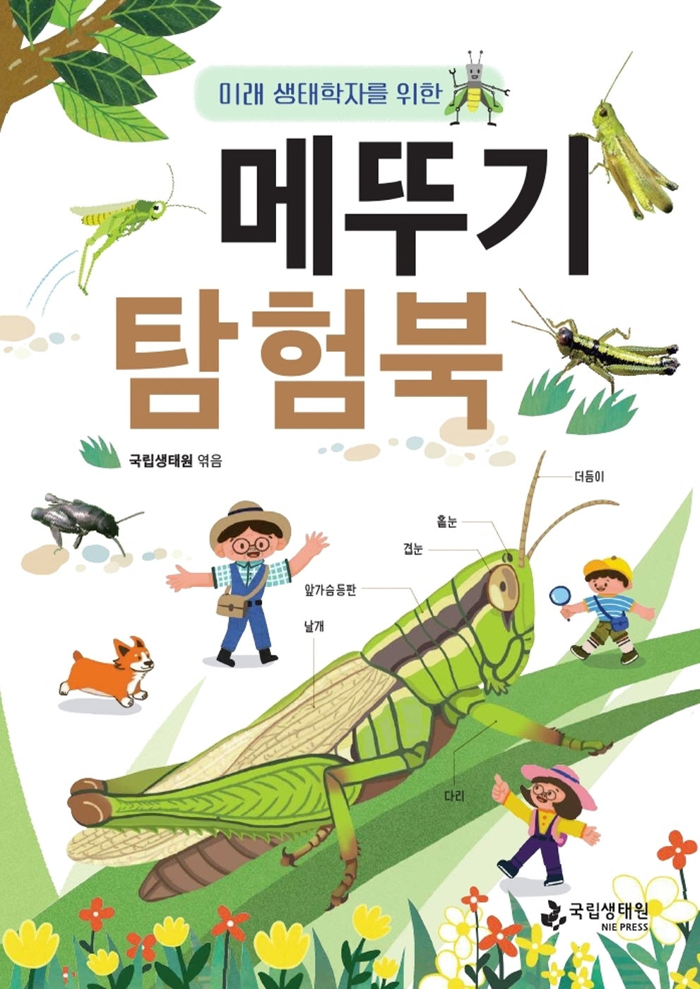 미래 생태학자를 위한 메뚜기 탐험북