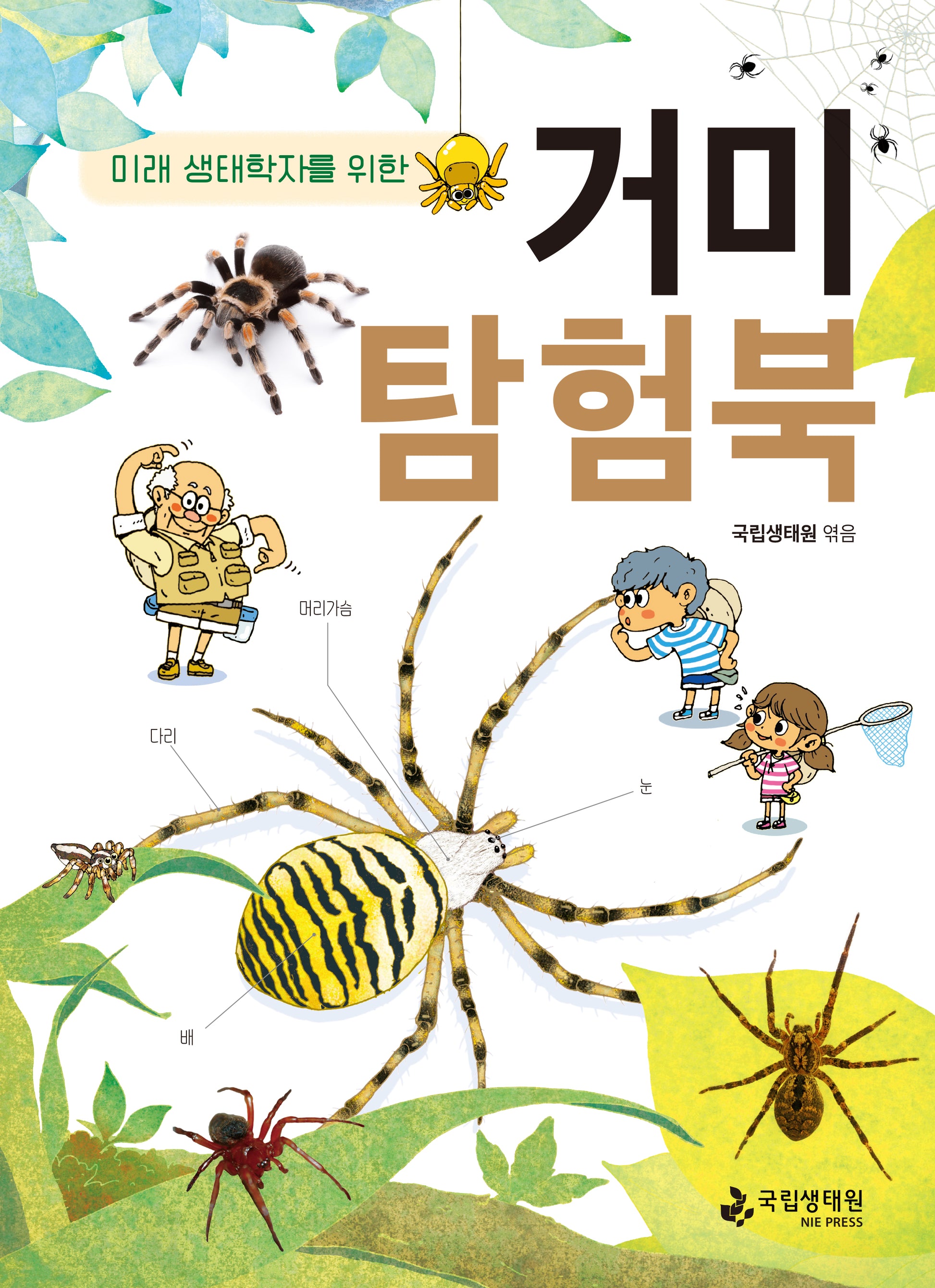 미래 생태학자를 위한 거미 탐험북