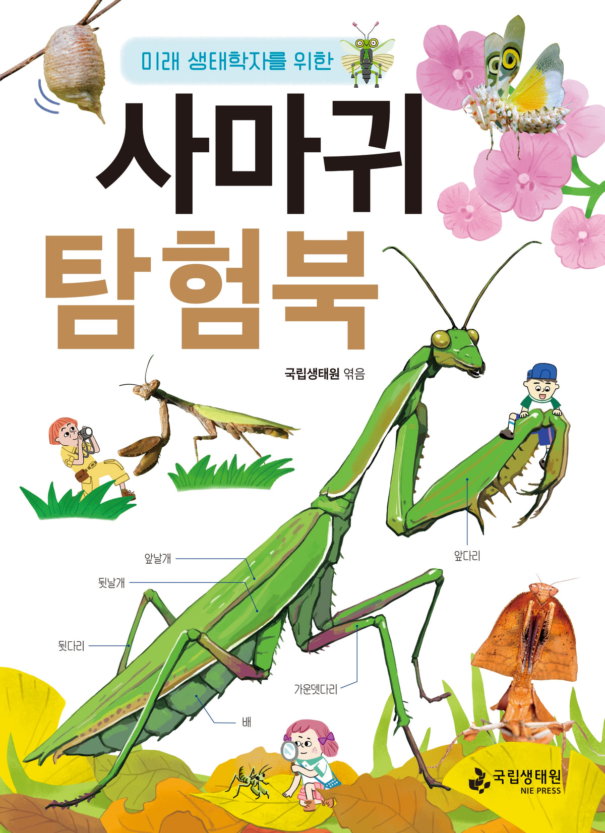 사마귀 탐험북(미래 생태학자를 위한)