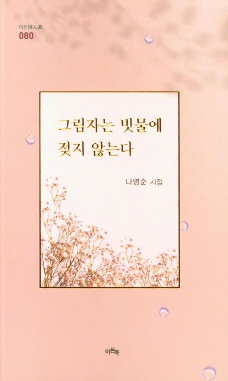 그림자는 빗물에 젓지 않는다(이든시인선 80)