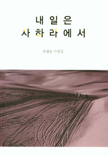 내일은 사하라에서