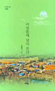 마릿뜰에 달이 뜬다(이든시인선 106)