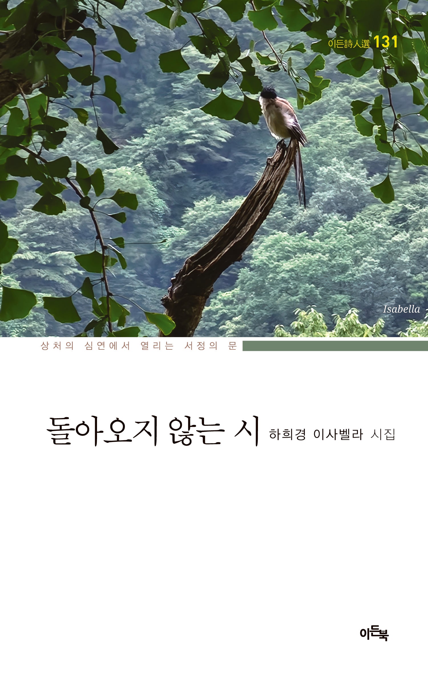 돌아오지 않는 시(이든시인선 131)