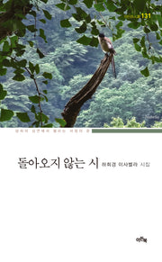 돌아오지 않는 시(이든시인선 131)