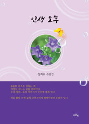 인생 오후(문학들 시인선 32)