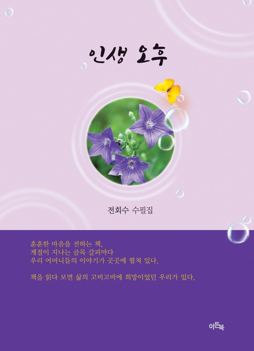 인생 오후(문학들 시인선 32)